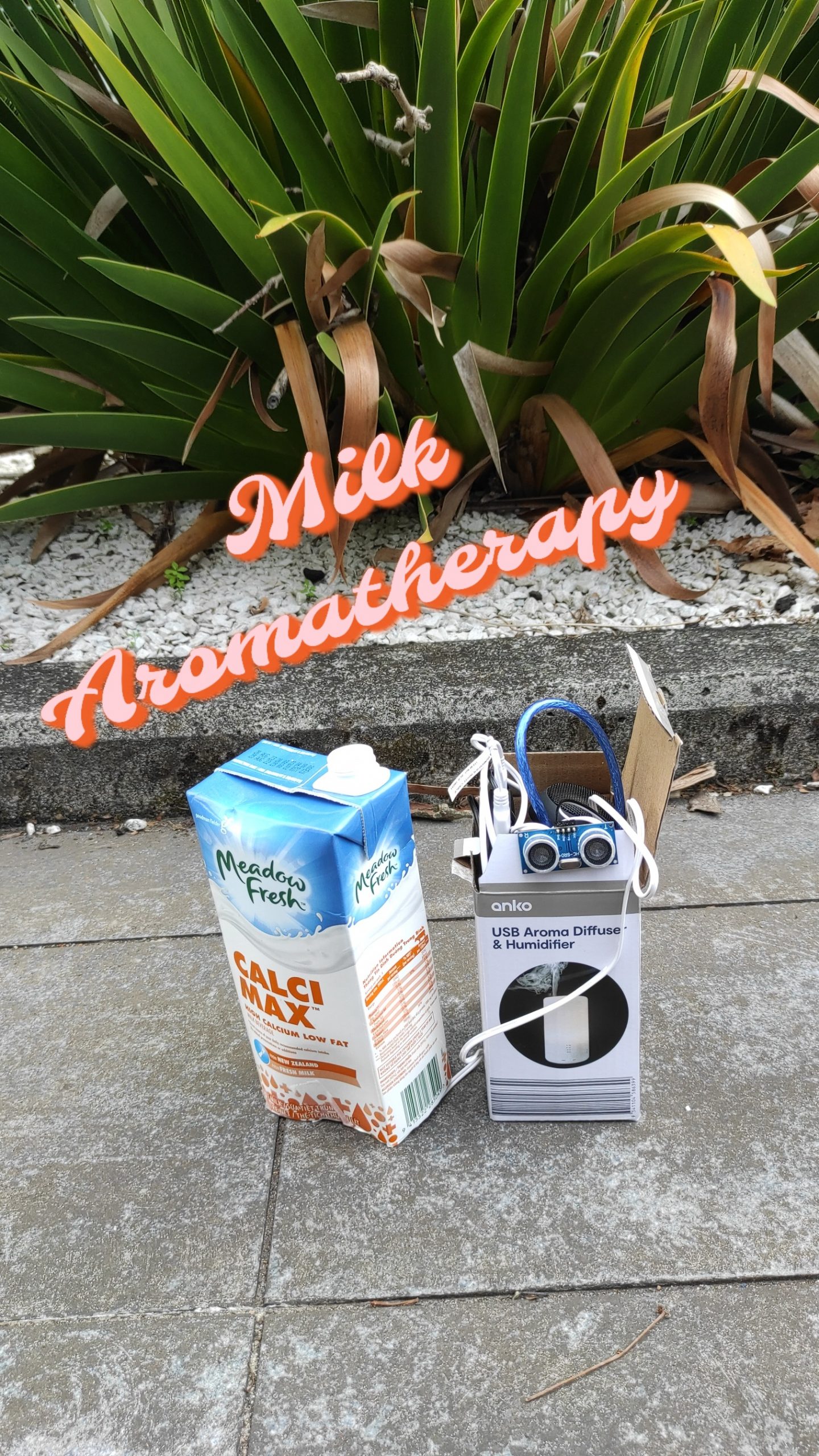 Milk Aromatherapy